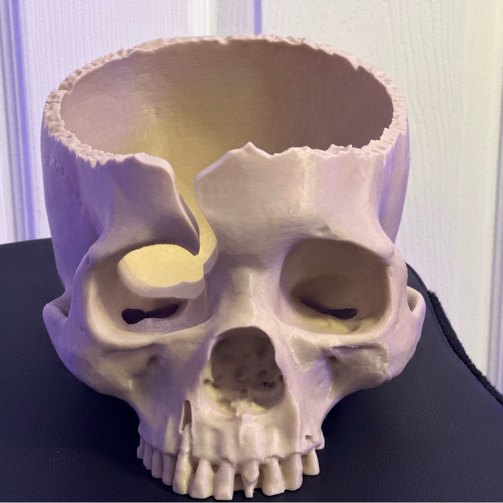 3d printed skull yarn bowl